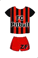 FC Pitbull